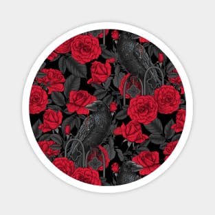 Ravens and red roses Magnet